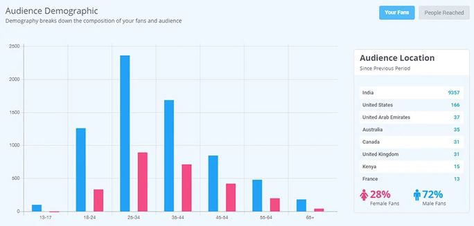 Audience demographic